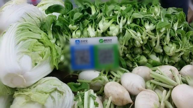 十八线小山村：两辈人的互联网冲击