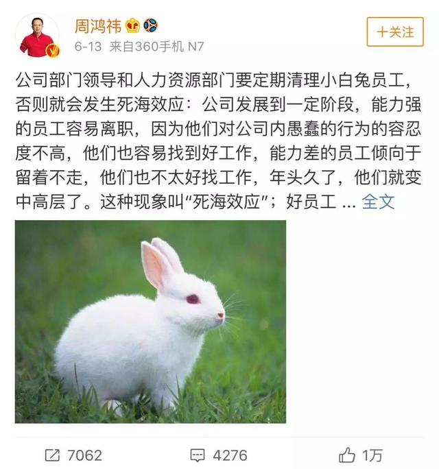 “害群之兔”,正在威胁你的团队