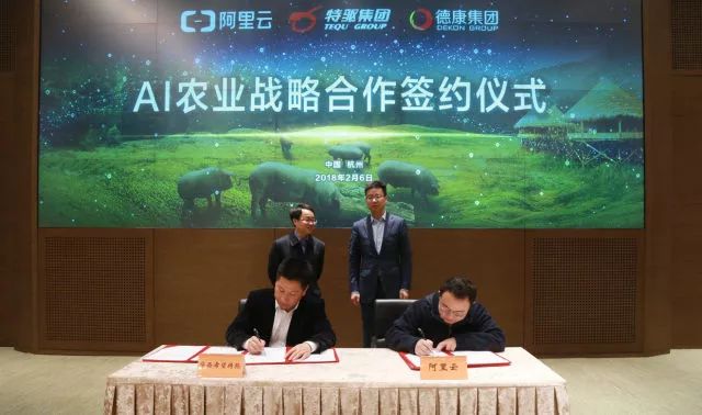 华为、阿里、京东、网易都在农村做这事，“智能养猪搞得好，漂亮媳妇娶得早！”