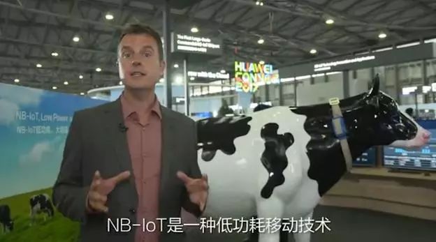 华为、阿里、京东、网易都在农村做这事，“智能养猪搞得好，漂亮媳妇娶得早！”