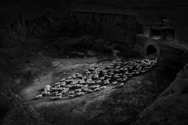 华为、阿里、京东、网易都在农村做这事，“智能养猪搞得好，漂亮媳妇娶得早！”