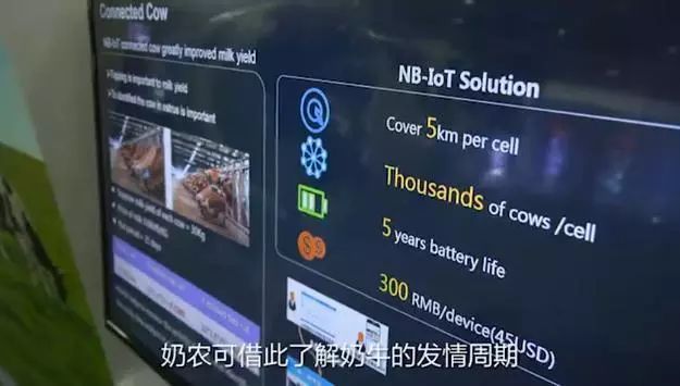 华为、阿里、京东、网易都在农村做这事，“智能养猪搞得好，漂亮媳妇娶得早！”