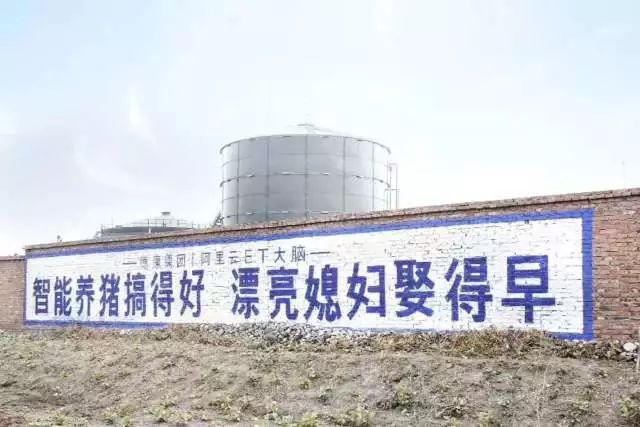 华为、阿里、京东、网易都在农村做这事，“智能养猪搞得好，漂亮媳妇娶得早！”