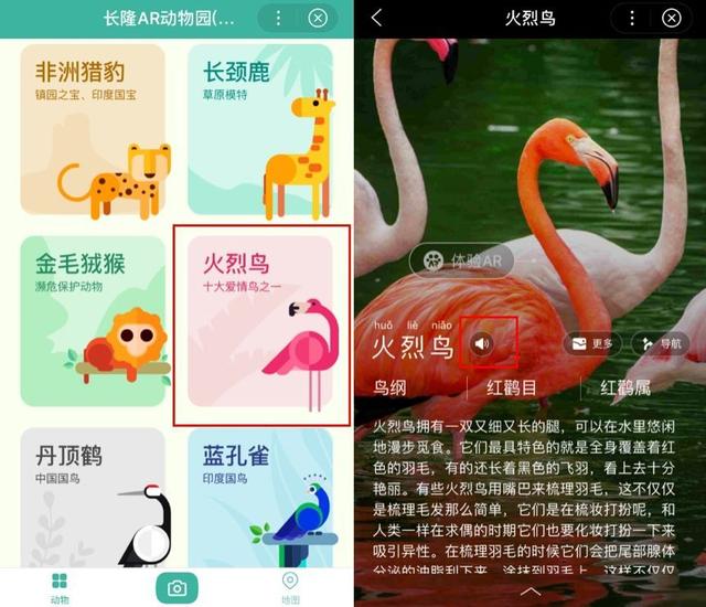微信小程序垄断和抄袭频发,问题不在腾讯而在开发者