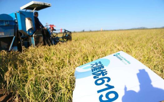 终于出手了!华为传来大消息:正式进军农业!